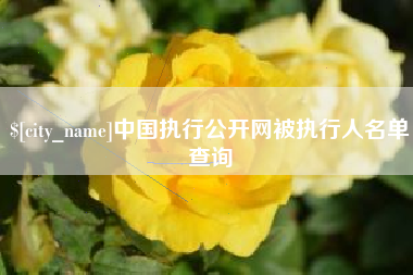 承德中国执行公开网被执行人名单查询