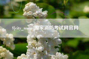 承德国家消防考试网官网