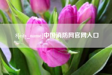 承德中国消防网官网入口