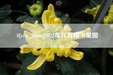 承德2022年九宫格飞星图
