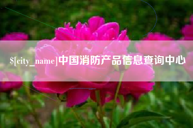 承德中国消防产品信息查询中心