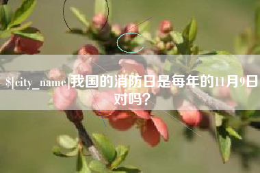 承德我国的消防日是每年的11月9日对吗？