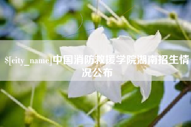 承德中国消防救援学院湖南招生情况公布
