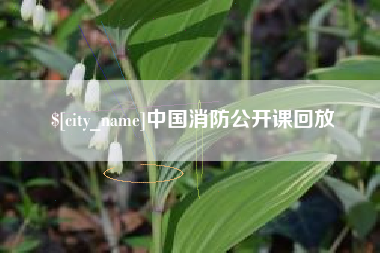 承德中国消防公开课回放