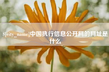 承德中国执行信息公开网的网址是什么