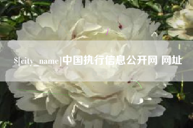承德中国执行信息公开网 网址