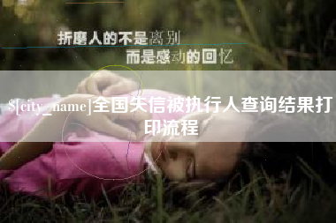 承德全国失信被执行人查询结果打印流程