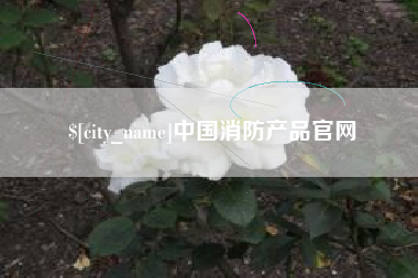 承德中国消防产品官网
