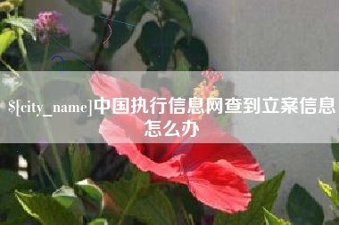 承德中国执行信息网查到立案信息怎么办