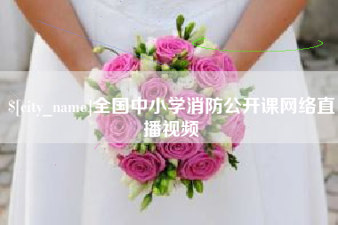 承德全国中小学消防公开课网络直播视频
