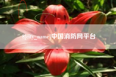 承德中国消防网平台