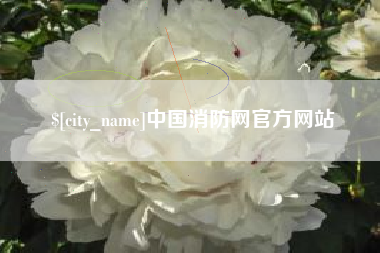 承德中国消防网官方网站