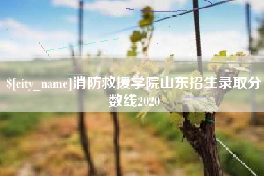 承德消防救援学院山东招生录取分数线2020