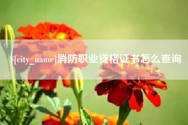 承德消防职业资格证书怎么查询