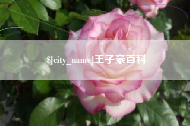 承德王子豪百科