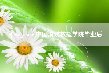 承德中国消防救援学院毕业后