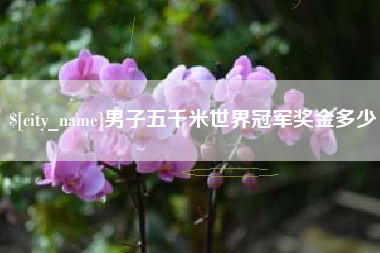 承德男子五千米世界冠军奖金多少