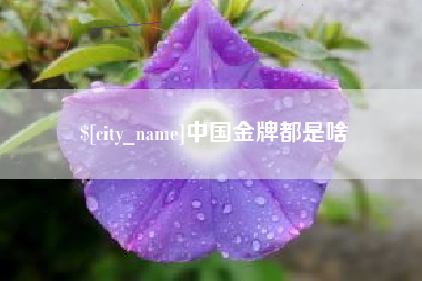 承德中国金牌都是啥