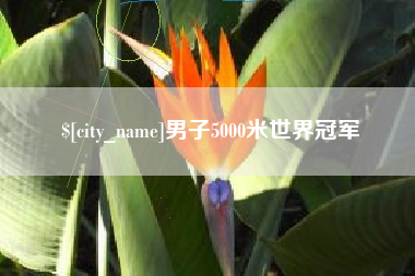 承德男子5000米世界冠军