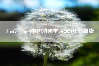 承德中国消防学院2024年分数线