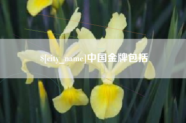 承德中国金牌包括