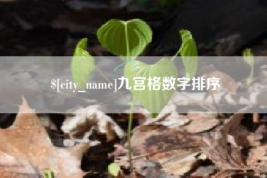 承德九宫格数字排序