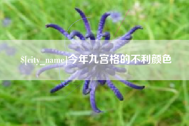 承德今年九宫格的不利颜色