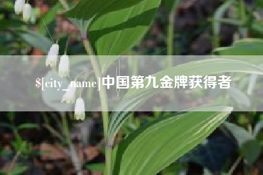 承德中国第九金牌获得者