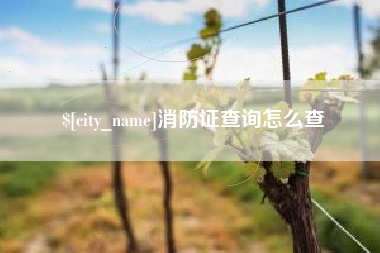 承德消防证查询怎么查