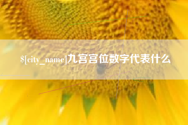 承德九宫宫位数字代表什么