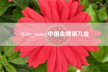 承德中国金牌第九金