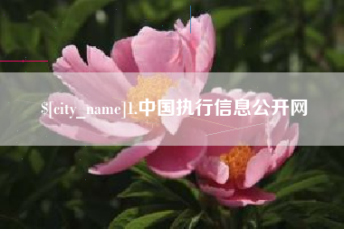承德1.中国执行信息公开网