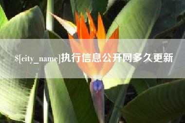 承德执行信息公开网多久更新