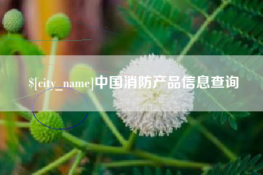 承德中国消防产品信息查询
