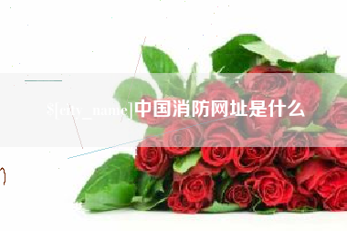 承德中国消防网址是什么