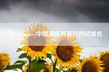 承德中国消防网官方网站域名