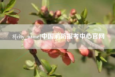 承德中国消防报考中心官网