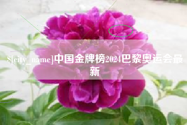 承德中国金牌榜2024巴黎奥运会最新