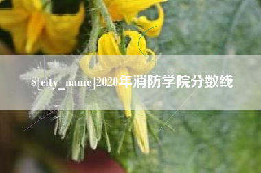 承德2020年消防学院分数线