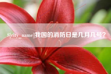 承德我国的消防日是几月几号？