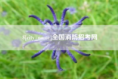 承德全国消防招考网