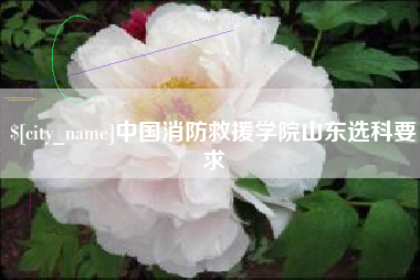 承德中国消防救援学院山东选科要求