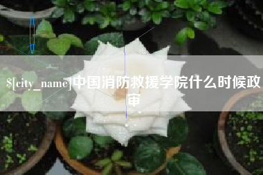 承德中国消防救援学院什么时候政审