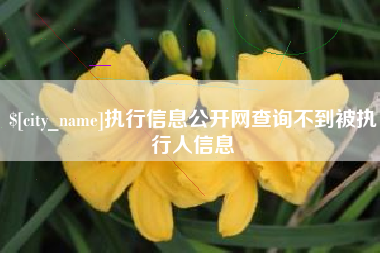 承德执行信息公开网查询不到被执行人信息