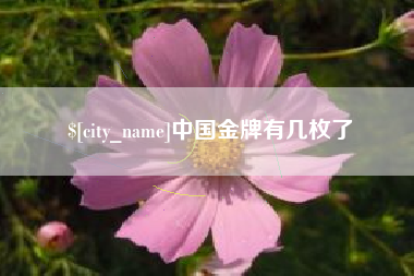 承德中国金牌有几枚了