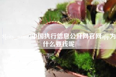 承德中国执行信息公开网官网app为什么要钱呢