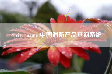 承德中国消防产品查询系统