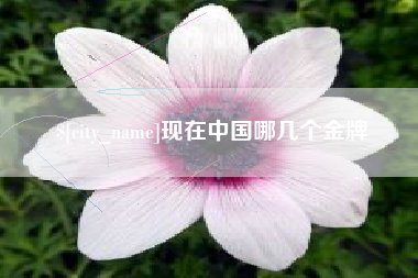 承德现在中国哪几个金牌