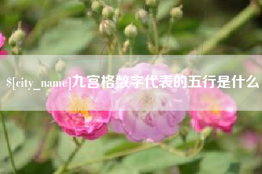 承德九宫格数字代表的五行是什么