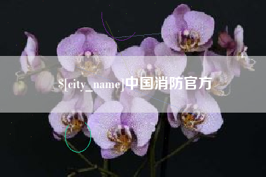 承德中国消防官方